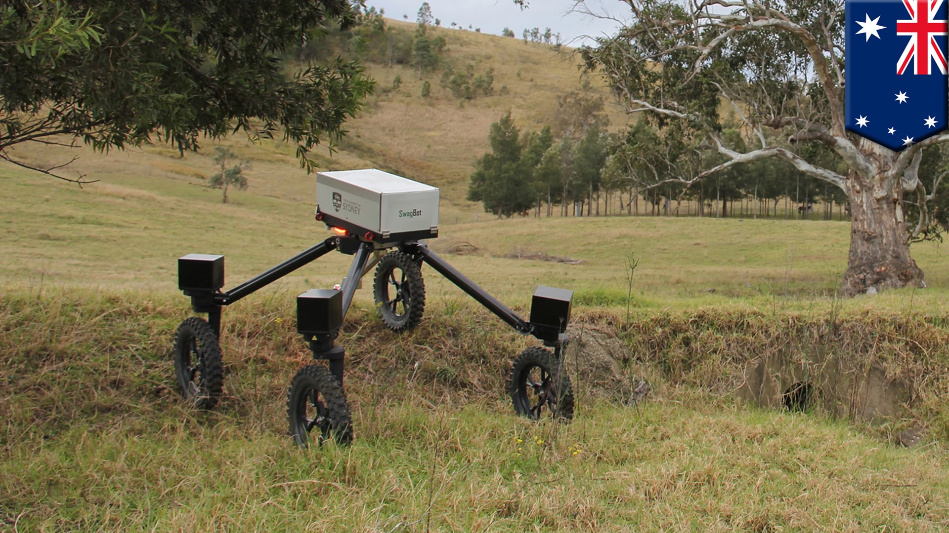 Meet Swagbot, the Automated Cattle Herding Robot in Australia