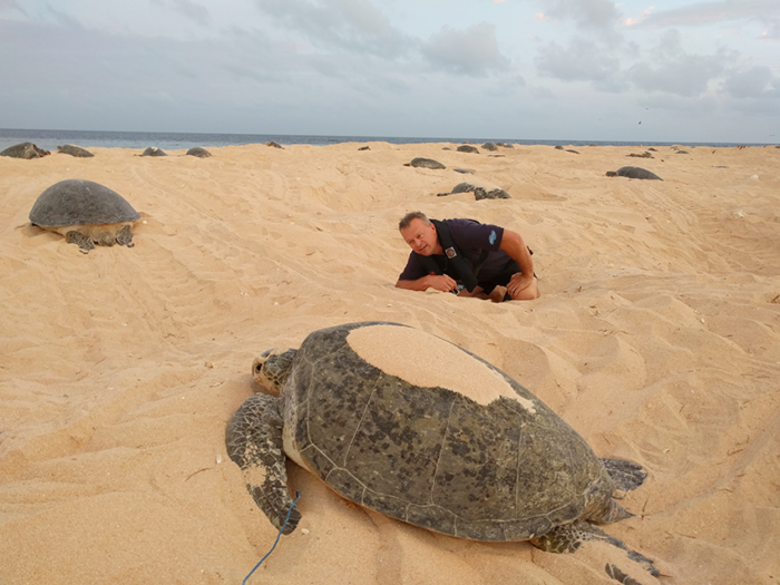 Activ8me heads to Raine Island to see Green turtle nesting