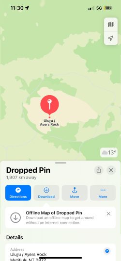 Where to see dropped pin on Apple Maps
